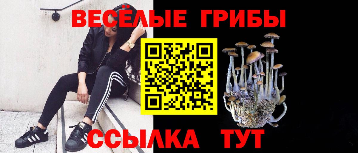 Псилоцибиновые грибы Psilocybine cubensis  Вход с VPN  Галлюциногенные грибы Psilocybine cubensis  Благовещенск 