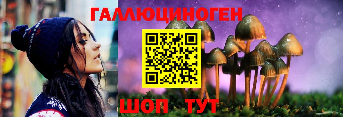 Галлюциногенные грибы Psilocybe Благовещенск